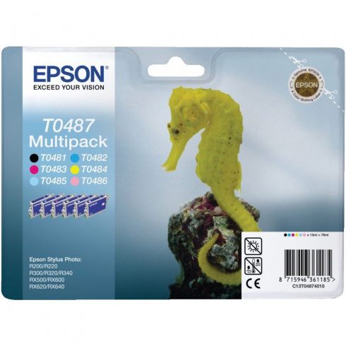 Epson Ink Cartridge/ C13T606500/ StylusPro4800/ 4880/ Light Cyan