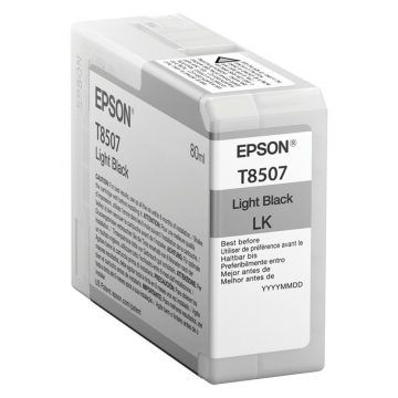 Kartuša s črnilom Epson/ C13T850700/ Light Black