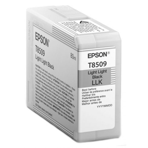 Kartuša s črnilom Epson/ C13T850900/ Light Light Black