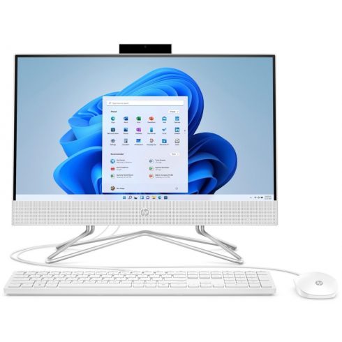 HP 22-dd0011nc/ AiO / Ryzen 3 3250U/ 8GB DDR4/ 256GB SSD/ Radeon™ Integrated/ 22" FHD mat/ W11H/ bel/ kbd+miška