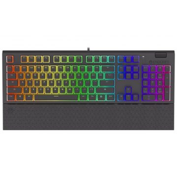   Endorfy igralna tipkovnica Omnis Pudd.Kailh BR RGB /USB/ rjavo stikalo / žična / mehanska / postavitev ZDA / črna RGB