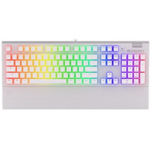 Endorfy igralna tipkovnica Omnis OWH Pudd.Kailh BL RGB / USB / modro stikalo / žična / mehanska / postavitev ZDA / bela RGB