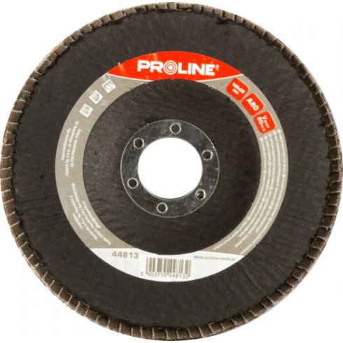 Ploščati brusni disk, a120, 125x22 prolin