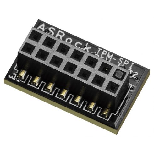 ASRock TPM-SPI modul