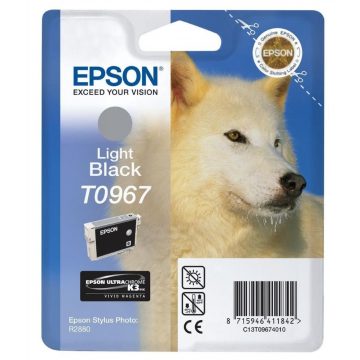 Kartuša Epson/ C13T09674010/ Stylus 2880/ Svetlo črna