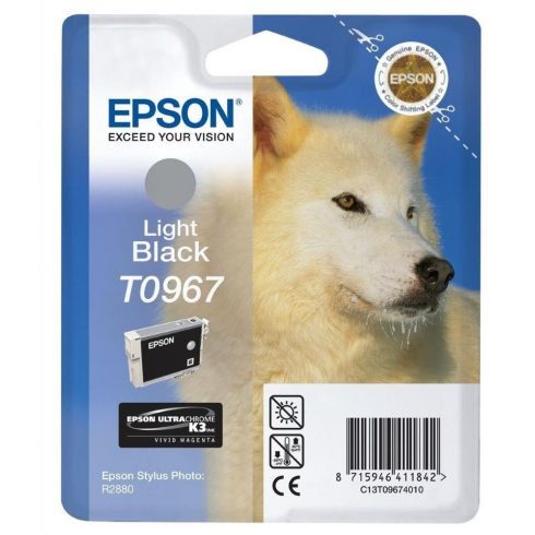 Kartuša Epson/ C13T09674010/ Stylus 2880/ Svetlo črna